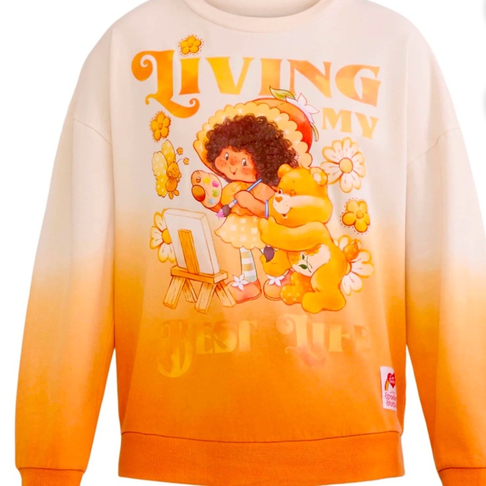Care Bears x Strawberry Shortcake NWT Sweatshirt Large Ombre Retro Collab